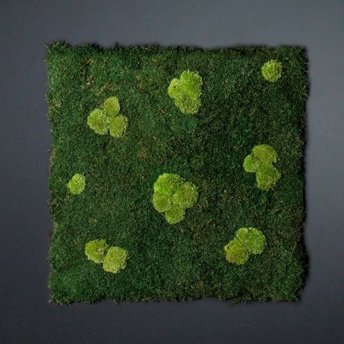稳定绿植墙 - FLATMOSS CON POLEMOSS - VGnewtrend - 定制 / 模块化板 / 天然
