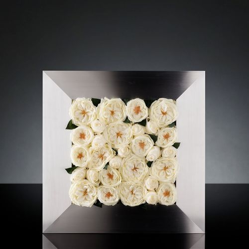 家具装饰面板 - MIX ROSE FRAME - VGnewtrend - 室内装潢 / 壁挂 / 铝制