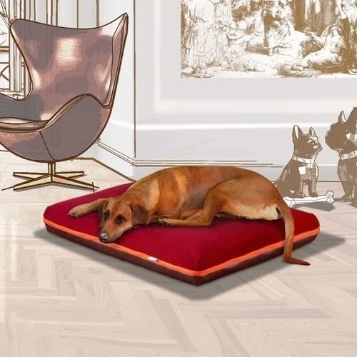 猫狗宠物垫子 - PAULINE - pet.interiors - 正方形 / 长方形 / 单色