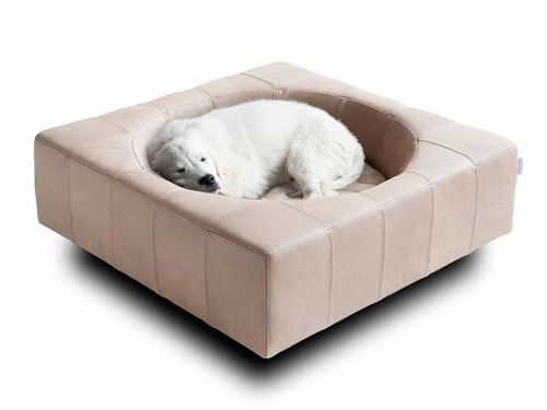 皮质狗床 - CUBE - pet.interiors - 山毛榉木