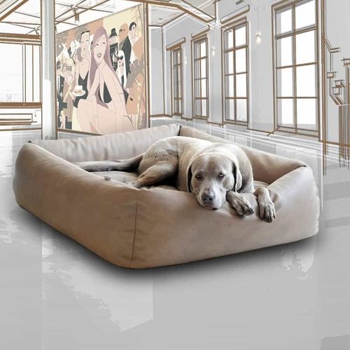 皮质狗床 - BOOX - pet.interiors - 椅垫可拆除