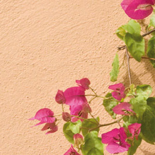装饰油漆 - ALLA CALCE ADIGE - OIKOS colore e materia per l'architettura - 防护 / 户外 / 内部或室内