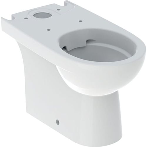 Washlet®卫洗丽马桶 - 500.488.01.7 - GEBERIT - 落地 / 陶瓷 / 家用