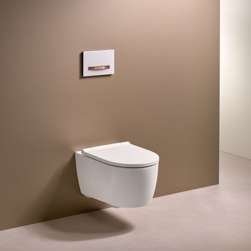 壁挂式马桶 - 500.201.01.1 - GEBERIT - 陶瓷 / 商用 / 躺式