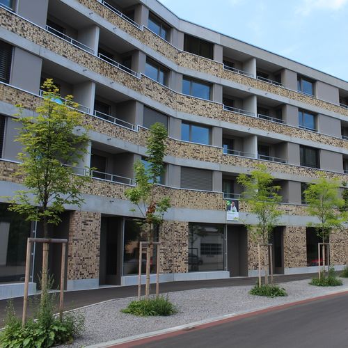 通风外墙立面 - CELLON-MFH BADEN - Bruag Design Factory AG - 面板 / HPL / 布艺