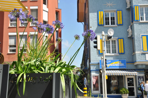HPL花坛 - CAFÉ RING OLTEN - Bruag Design Factory AG - 正方形 / 现代风格 / 公共空间