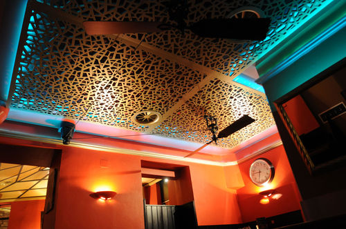 吊顶天花板隔音板 - KAKTUSBAR WIEN - Bruag Design Factory AG - 木纤维 / 矩形 / 穿孔