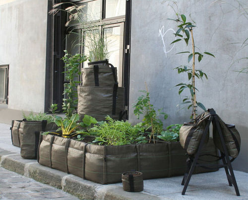 种植袋 - BACSAC Classic - LAVELERIA