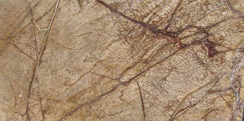 大理石瓷砖 - RAIN FOREST BROWN - classical natural Stone - 抛光 / 浴室 / 客厅