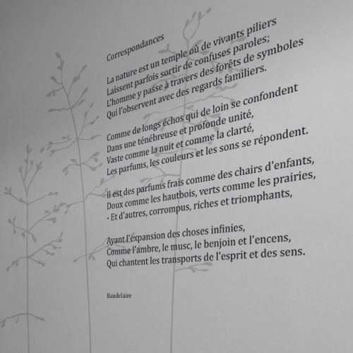 文字墙贴 - POESIE NOCTURNE CORRESPONDANCE - Atelier d'Art Osmoze - Design & décoration murale