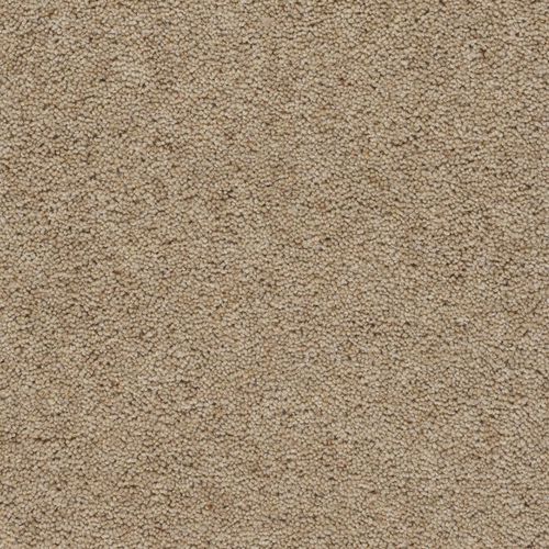 簇绒满铺地毯 - DEVONIA HEATHER PLAIN - Axminster carpets - 羊毛 / 家用 / 商用