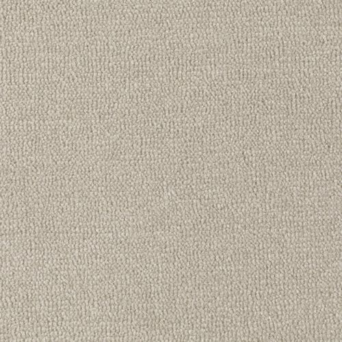 簇绒满铺地毯 - STAR DUNE - Axminster carpets - 尼龙 / 聚酯 / 丝绒