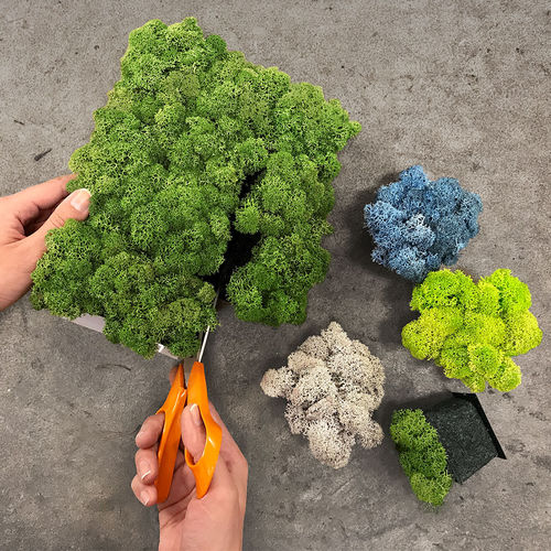 苔藓植物画框 - PIXEL - Nordgröna - 天然 / 室内 / 模块化板