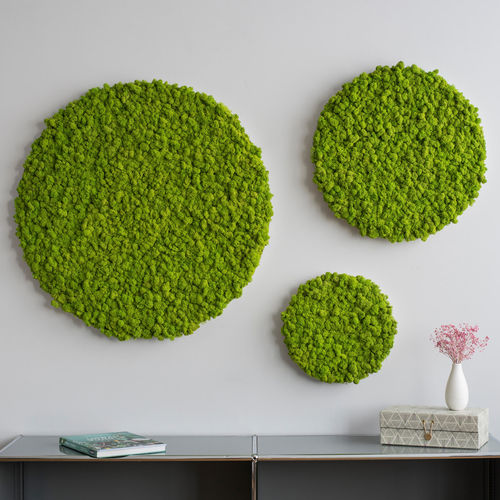 球形永生苔藓 - SG-KR-IS - FlowerArt GmbH - 用于生活框架 / 面板