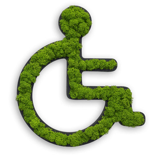 苔藓植物画框 - WHEELCHAIR - FlowerArt GmbH - 天然 / 室内 / 壁画