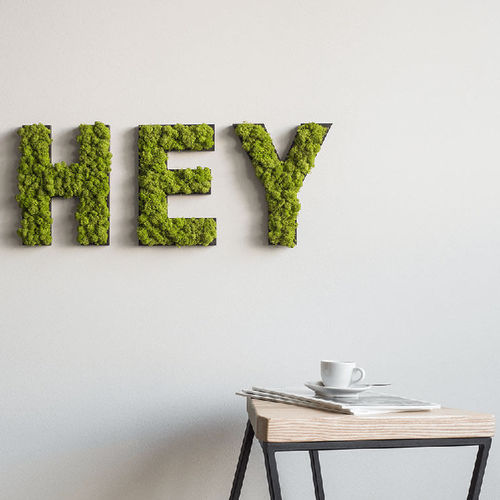 苔藓植物画框 - LETTERS - FlowerArt GmbH - 天然 / 室内 / 壁画