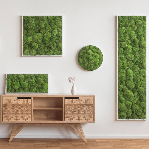 苔藓植物画框 - SG-MB-KM - FlowerArt GmbH - 天然 / 室内