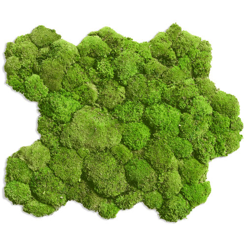 稳定植物画框 - FLEXGREEN  - FlowerArt GmbH - 苔藓 / 天然 / 室内