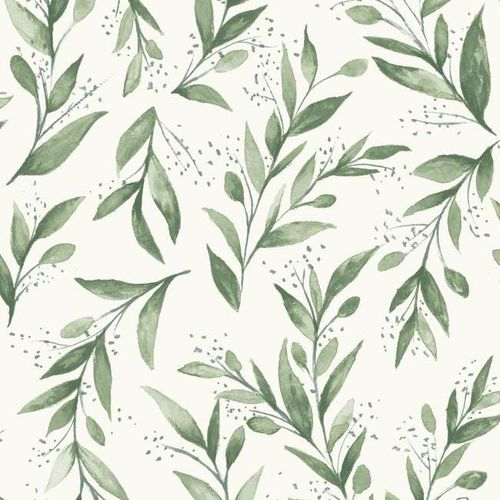 现代风格墙纸 - Olive Branch - York wallcoverings - 印花 / 仿布 / 绿色