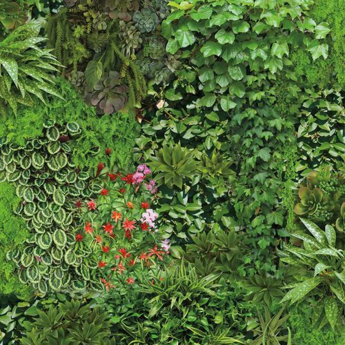 现代风格墙纸 - Living Wall - York wallcoverings - 乙烯基 / 印花 / 三维效果