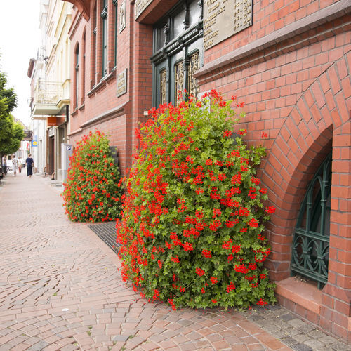 电镀钢塔式花盆 - H1200 1/2 - Terra Group - 半圆 / 高强度 / 带自动浇水