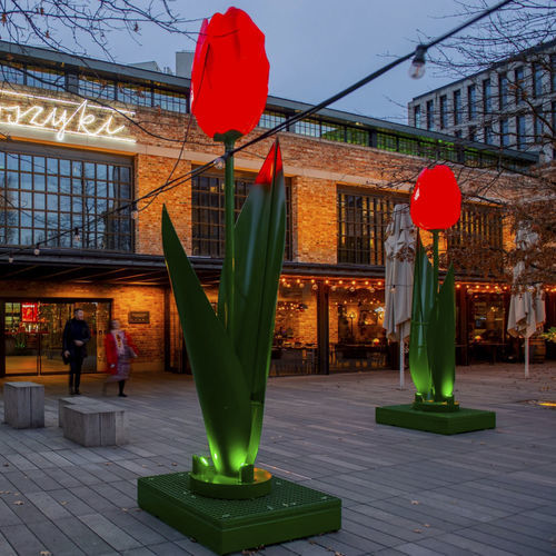 装饰雕塑 - 3D Tulip - Terra Group - 户外 / 市政 / 夜光