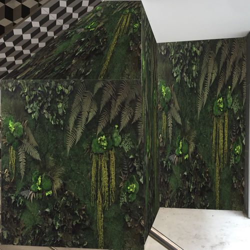 稳定绿植墙 - PYT Audio - 活植物 / 模块化板 / 定制