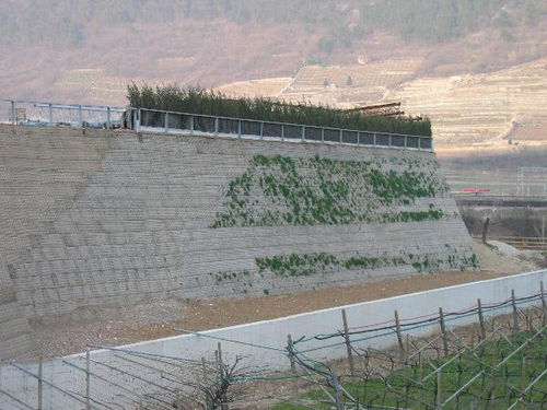 加固土工网格 - PAVIROCK TPV - Viganò Pavitex - 公路 / 聚酯 / PVC涂层