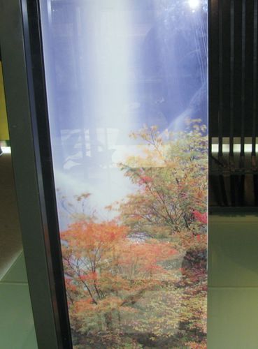 室内装潢装饰面板 - DGP - Clear glass - 用于护栏 / 建筑物 / 门用