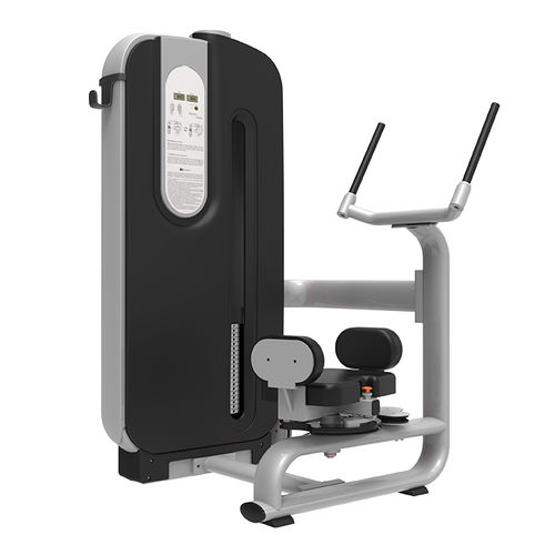 骨盆扭转健身器械 - LDGL-7050 - landfitness - 室内 / 户外 / 商用