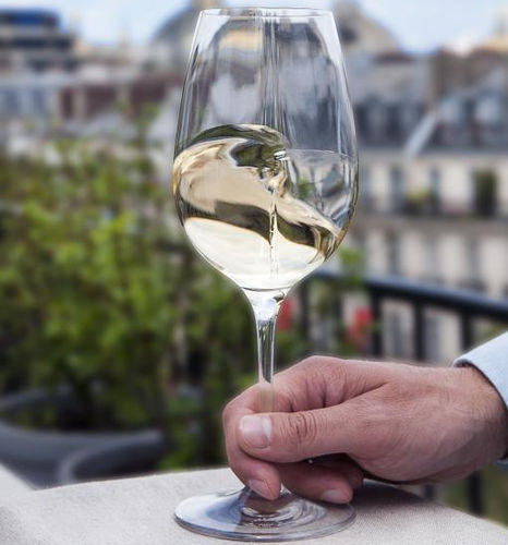 红酒玻璃杯 - EXPLOREUR ŒNOLOGY  - L’Atelier du Vin - 高脚 / 商用
