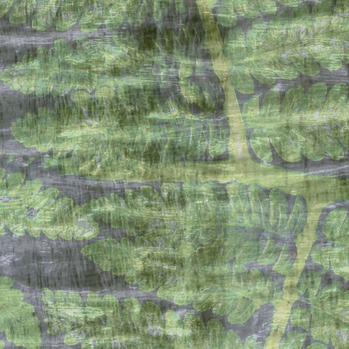 现代风格墙纸 - FERNS / TV-02 - Wallpepper - 抽象图案 / 印花
