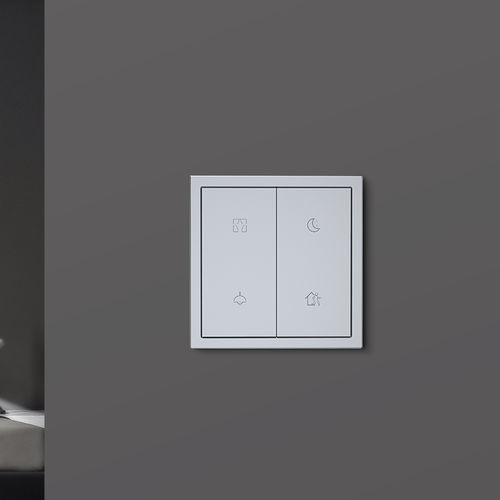 智能家居设备控制键盘 - Tile Series 2 Buttons  - HDL Automation Co., Ltd - 用于系统加热 / 用于灯具 / 用于空调