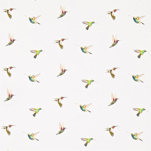 室内装饰面料 - AMAZILIA : HAMA120350 - Harlequin - 用于窗帘 / 用于遮光卷帘 / 动物图案