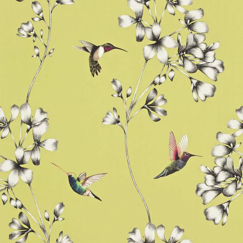 现代风格墙纸 - Amazilia : HAMA111061 - Harlequin - 印花 / 动物图案 / 仿墙纸