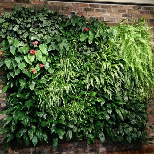 活植物绿植墙 - MODULOGREEN® - BY NATURE - 模块化板 / 天然 / 室内
