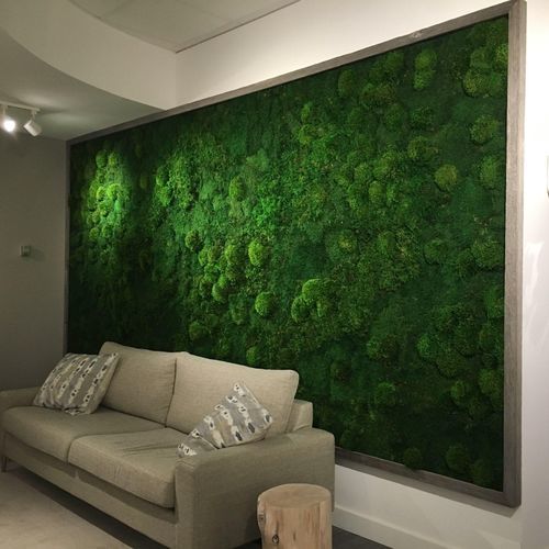 球形永生苔藓 - MIXED  - BY NATURE - 绿植墙 / 用于生活框架 / 矩形