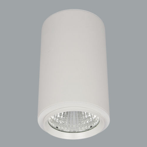 明装筒灯 - PIPA MAXI BRIDGESPOT / I01.MLS.16014 - Avolux - LED式 / 圆形 / IP20