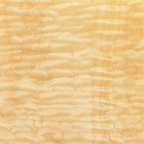 木质贴面 - AMERICAN MAPLE - SCHORN&GROH