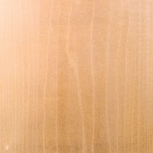 木质贴面 - POPLAR - SCHORN&GROH