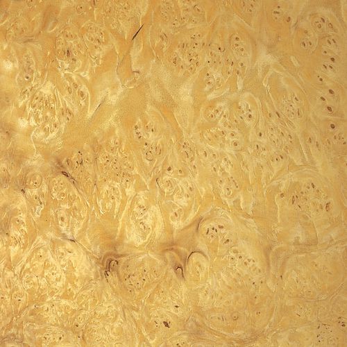 木质贴面 - MYRTLE BURL - SCHORN&GROH