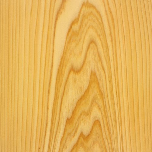 木质贴面 - CYPRESS  - SCHORN&GROH