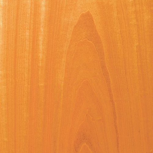 木质贴面 - CEYLON SATINWOOD - SCHORN&GROH