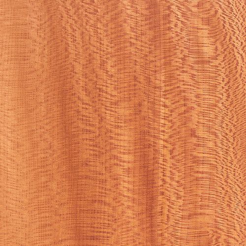 木质贴面 - EUROPEAN LACEWOOD - SCHORN&GROH