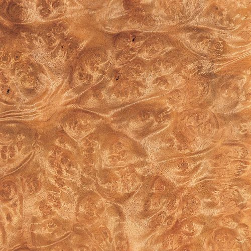 木质贴面 - LAUREL BURL - SCHORN&GROH