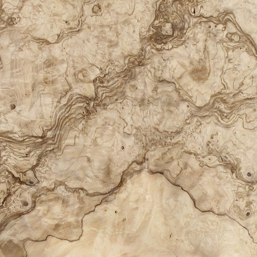 木质贴面 - OLIVE ASH BURL - SCHORN&GROH - FSC环保标签