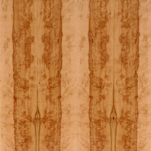 木质贴面 - SELECT : HEARTED BEECH BURL - SCHORN&GROH