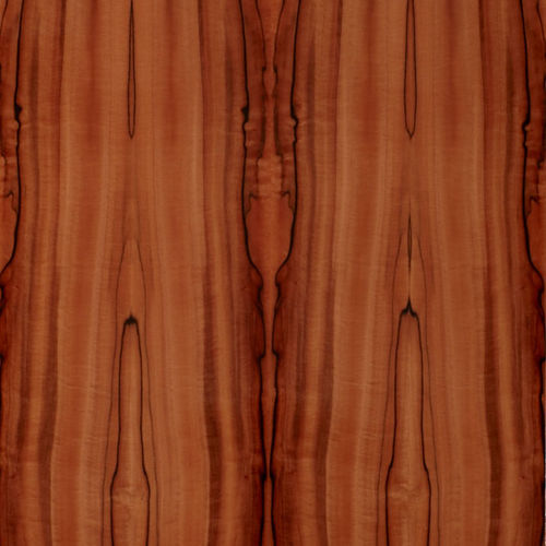 木质贴面 - SELECT : TINEO - SCHORN&GROH