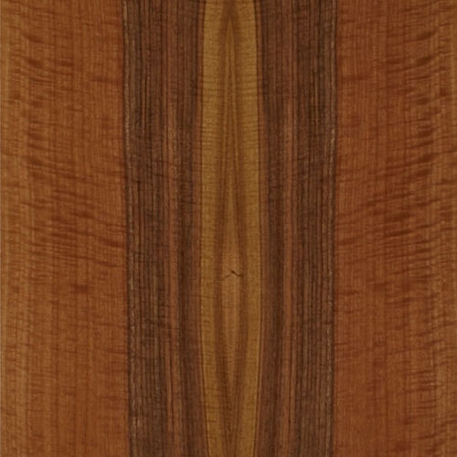 木质贴面 - SELECT : EUROPEAN WALNUT - SCHORN&GROH