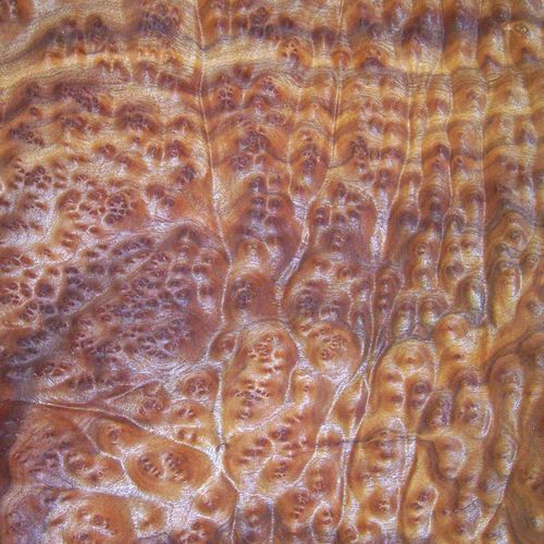 木贴面 - CAMPHOR BURL - SCHORN&GROH